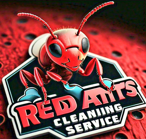 Miracle Maids Logo